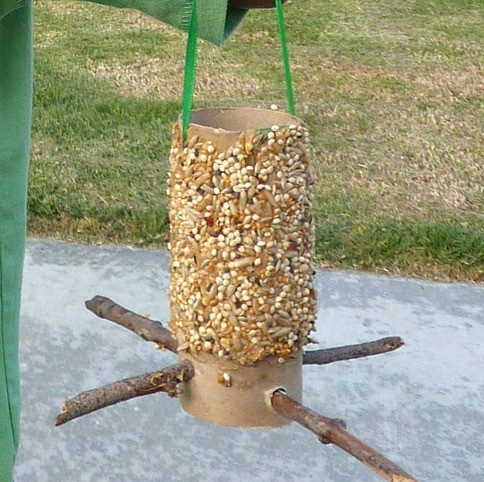 Bird Feeders: Easy Ideas for Kids to Make at Home for Little Money